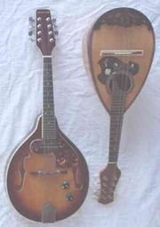 Carved and round backed mandolins (front)